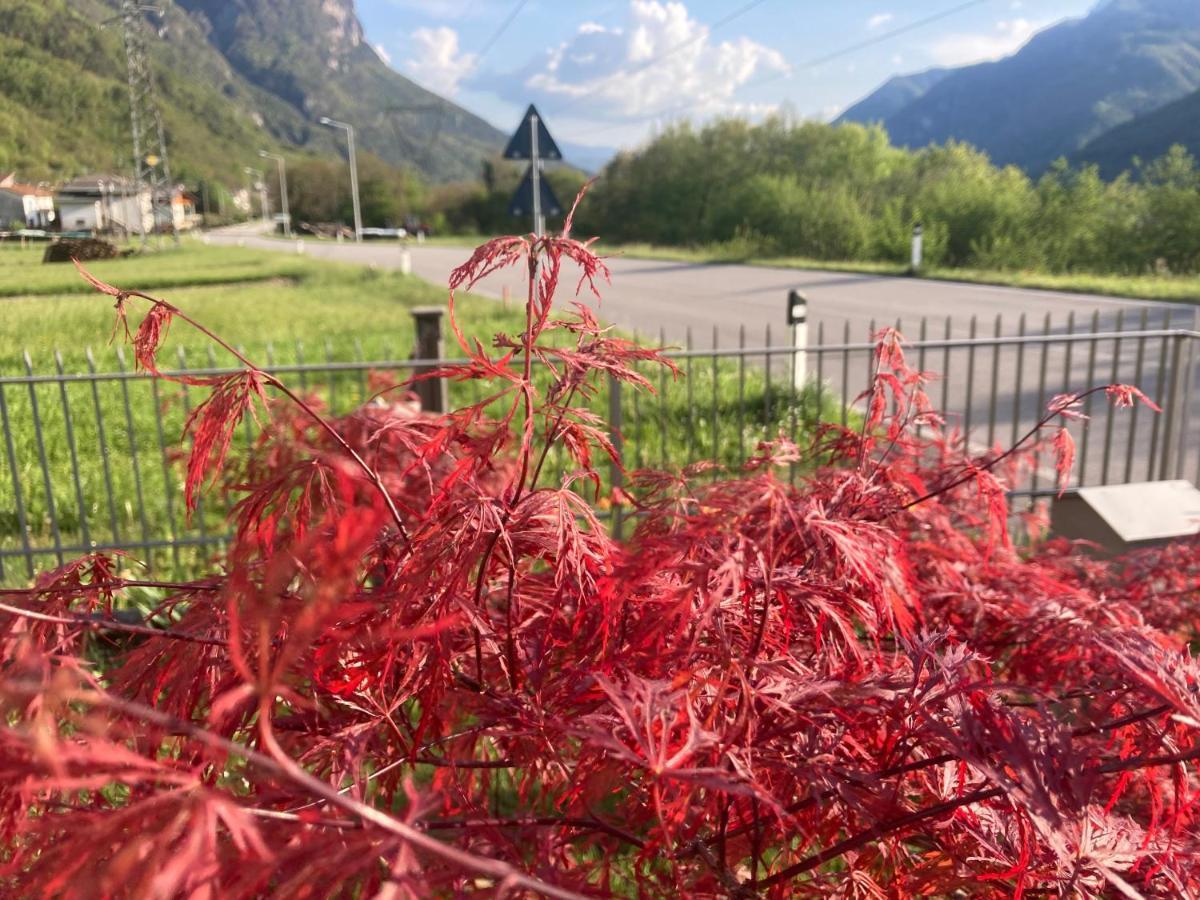 Meraki Dolomiti Longarone Esterno foto